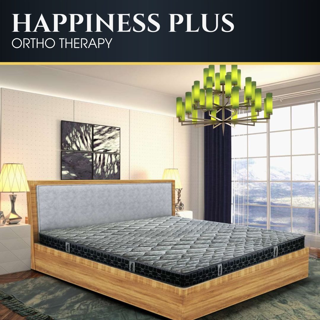 Happiness Plus R