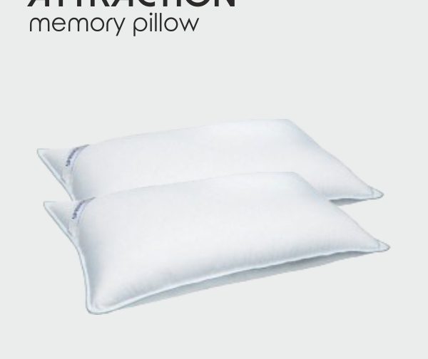 Attraction memory pillow